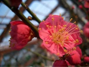 000000003227-05.jpg?size=l&w=