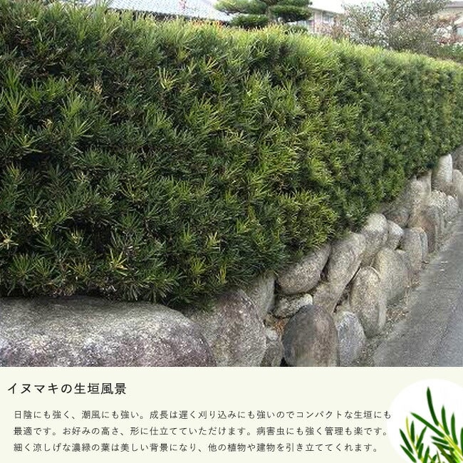 000000003261-02.jpg?size=l&w=