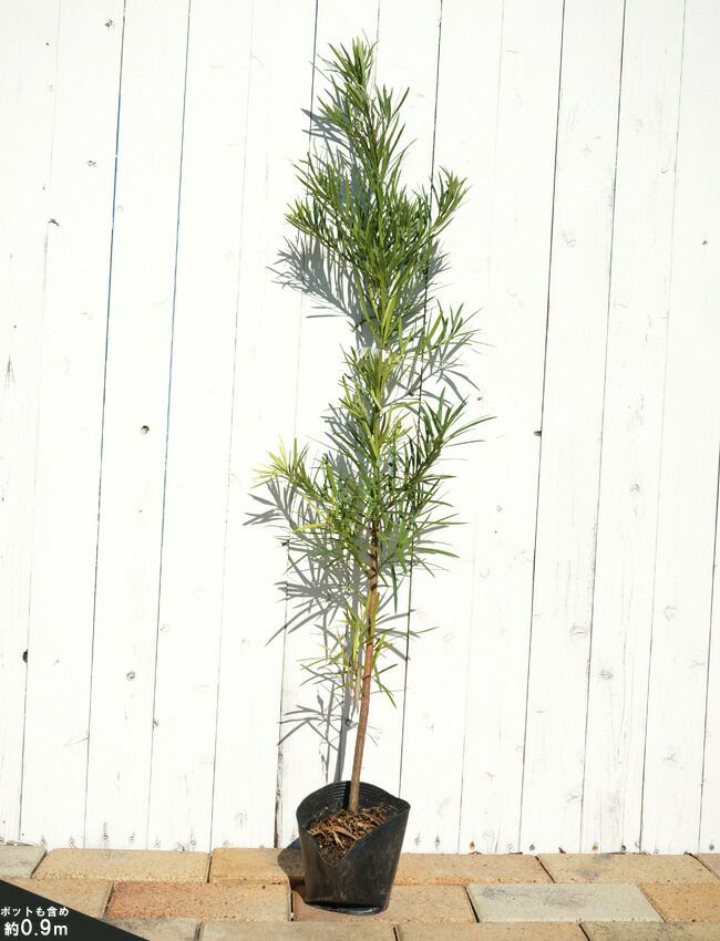 000000003261-03.jpg?size=l&w=