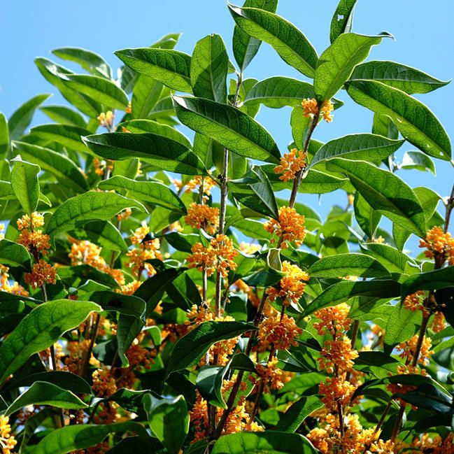 000000003458-01.jpg?size=l&w=