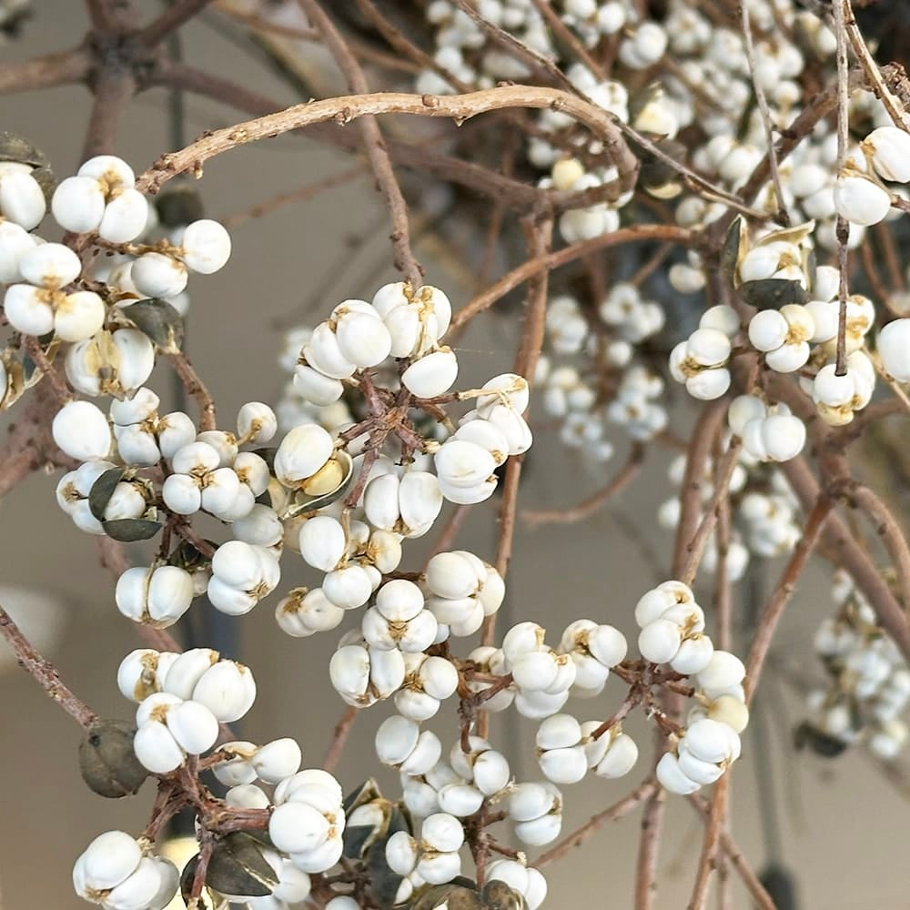 000000003478-03.jpg?size=l&w=