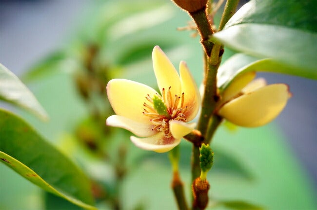 000000003492-05.jpg?size=l&w=