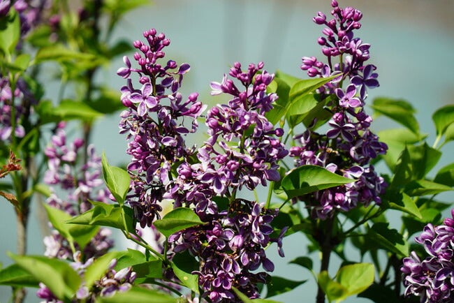 000000003548-05.jpg?size=l&w=