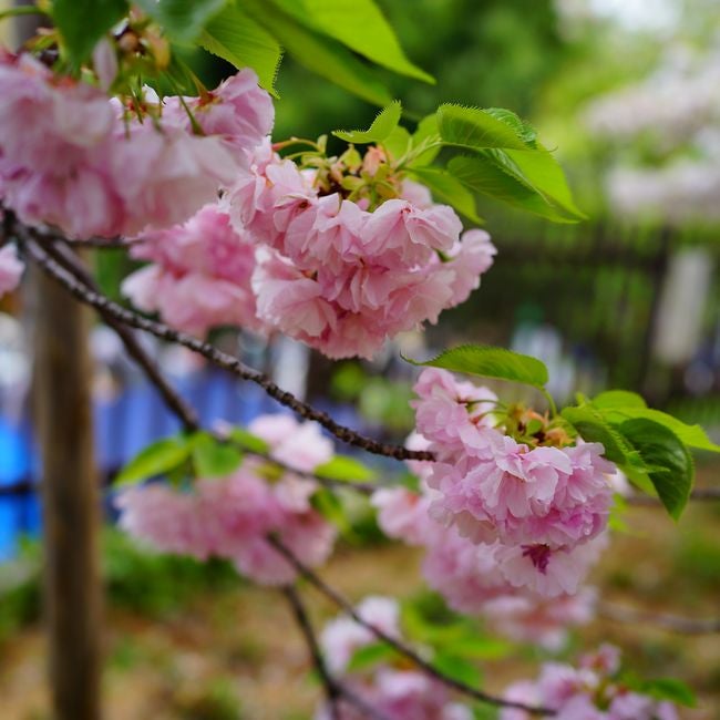 000000003604-06.jpg?size=l&w=