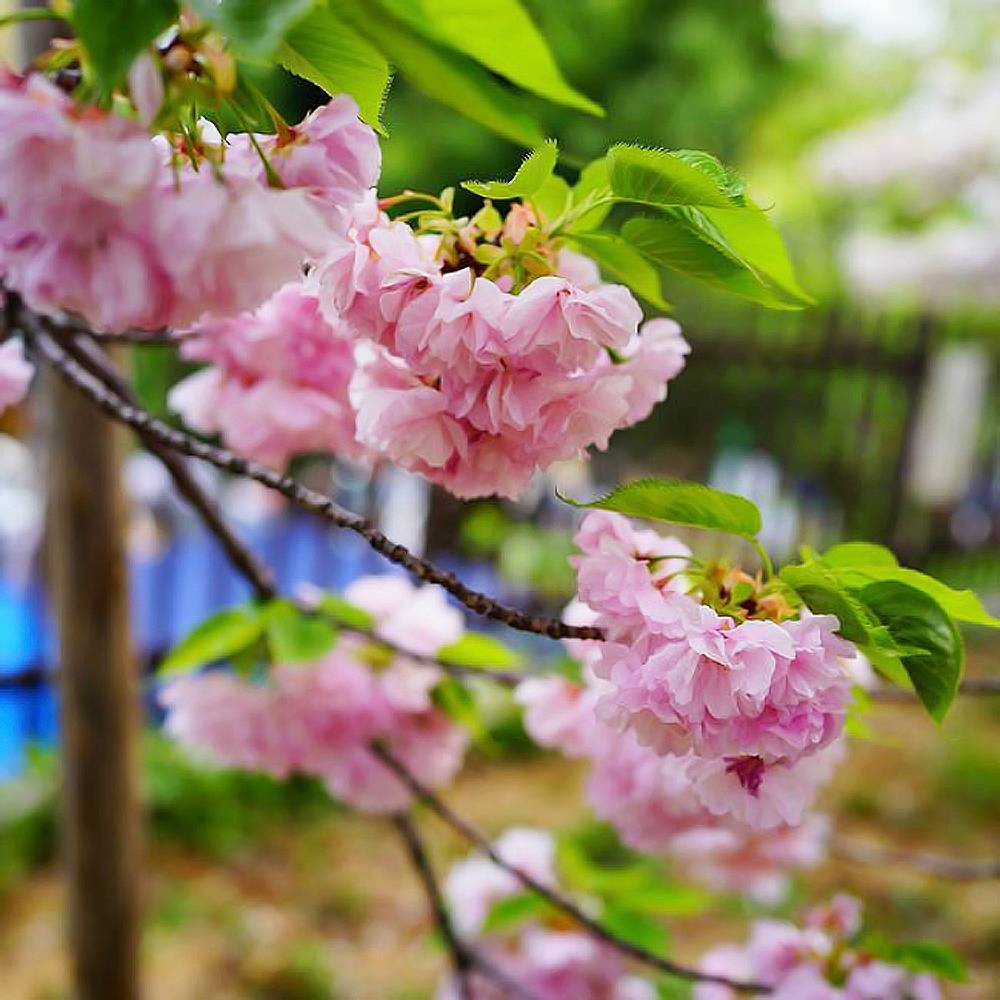 000000003604-07.jpg?size=l&w=