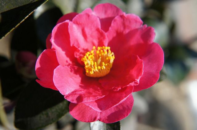 000000003626-01.jpg?size=l&w=