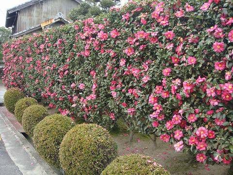 000000003626-02.jpg?size=l&w=