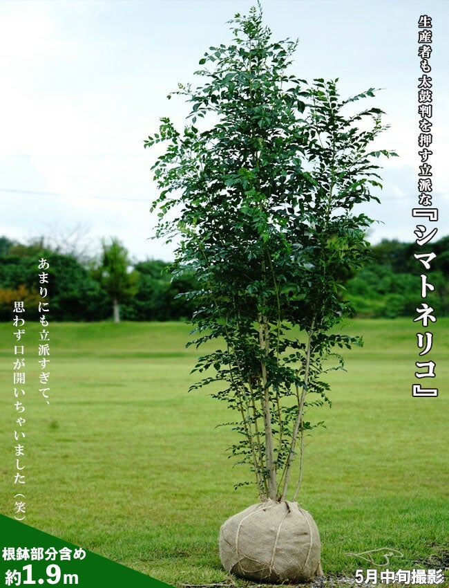 000000003669-03.jpg?size=l&w=