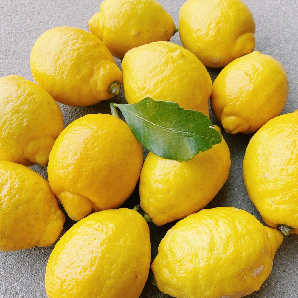 000000103624-06.jpg?size=l&w=