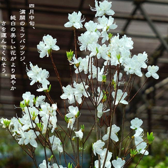 000000003760-02.jpg?size=l&w= 
