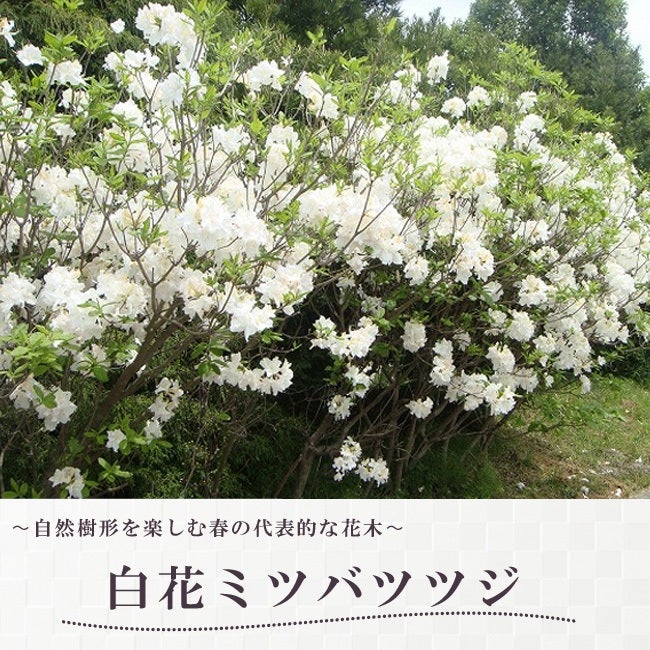 000000003760-06.jpg?size=l&w=