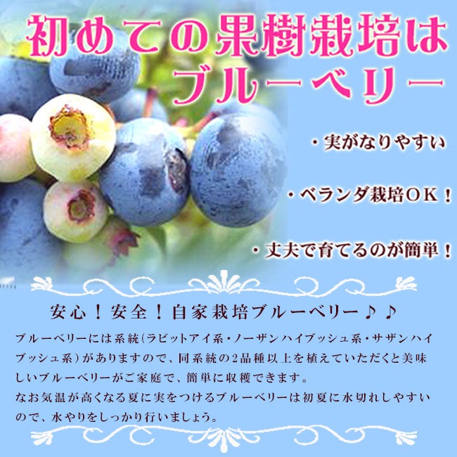 000000004311-02.jpg?size=l&w=