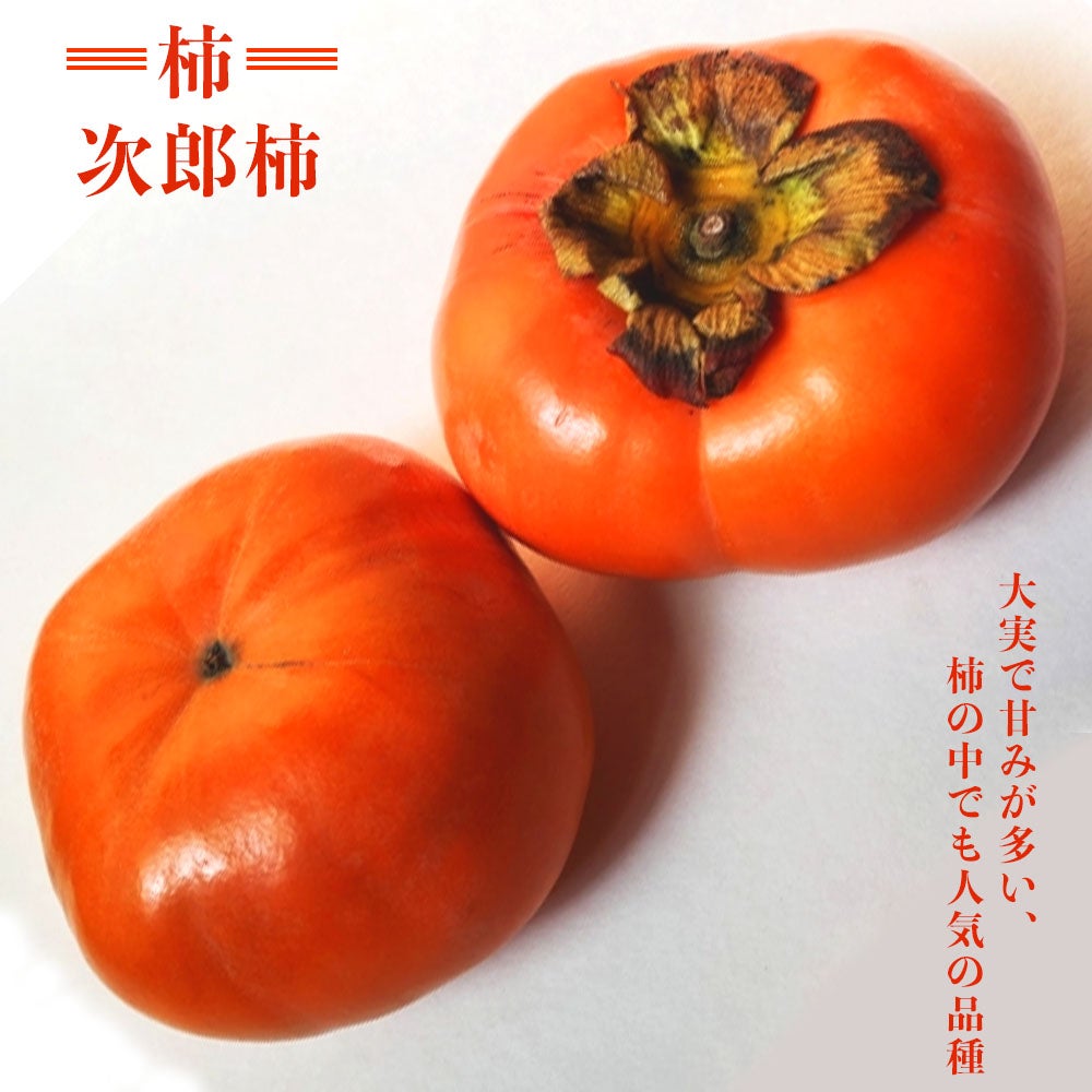 000000004355-01.jpg?size=m&w=