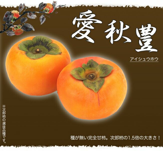 柿 完全甘柿 愛秋豊 苗 販売 苗木部 By 花ひろばオンライン