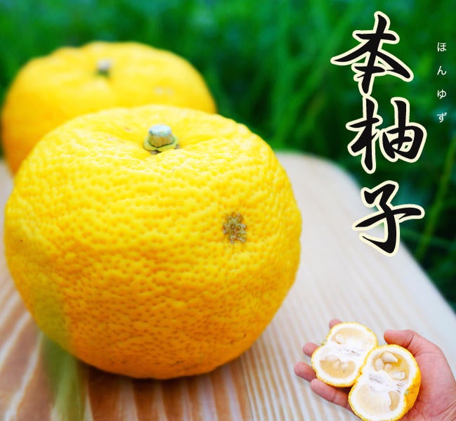 000000004415-05.jpg?size=l&w=