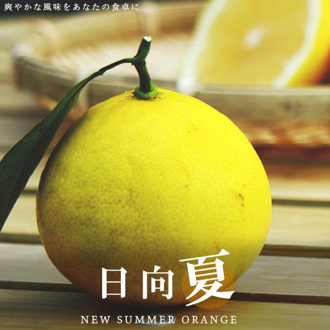 000000004420-01.jpg?size=m&w=