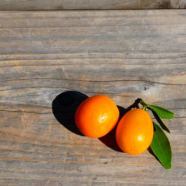 000000004461-02.jpg?size=l&w=