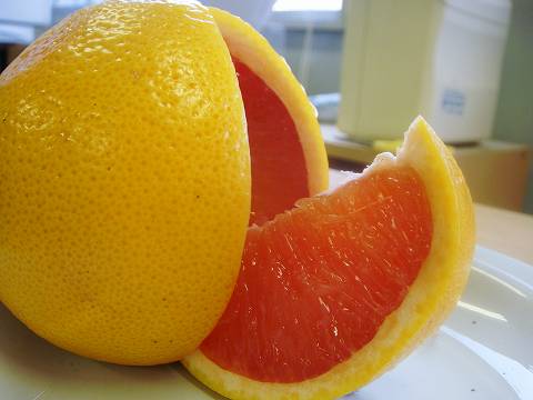 000000004467-01.jpg?size=m&w=