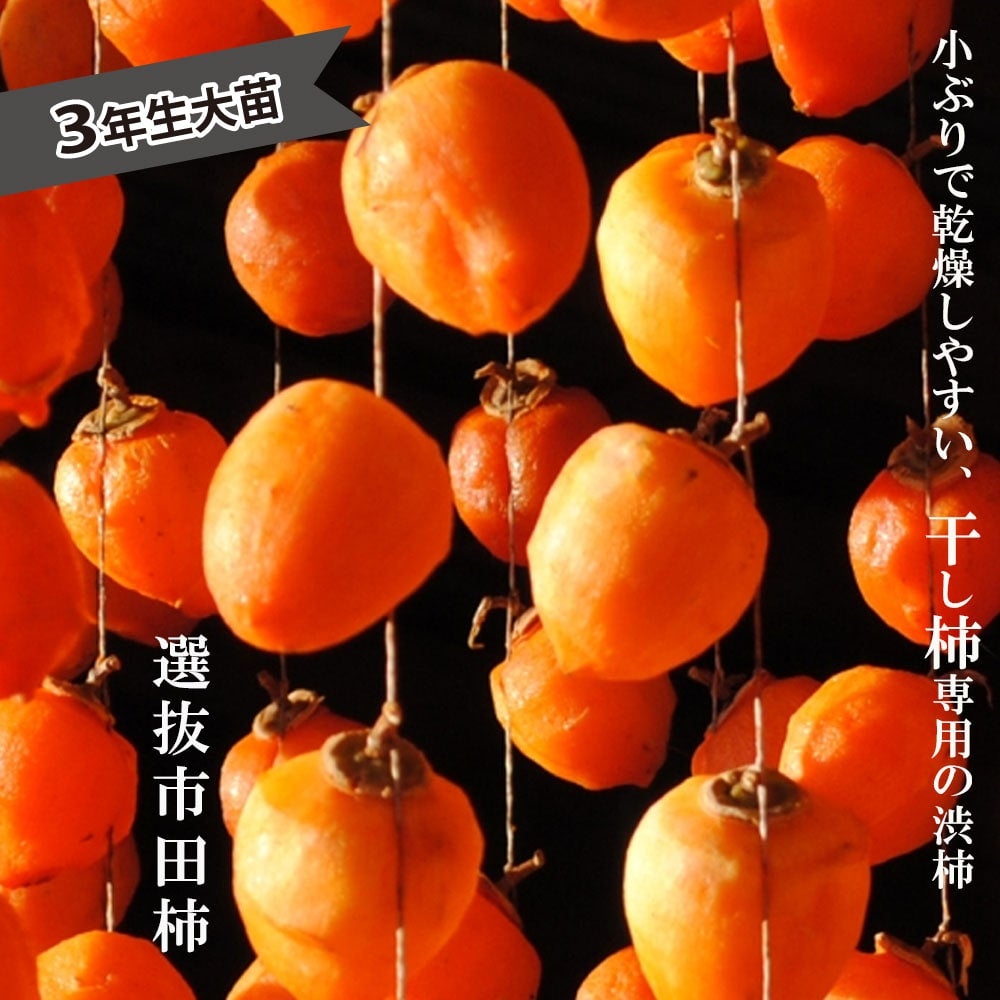 ハッピー　市田柿　3Ｋ 000000004649-01.jpg?size=l&w=