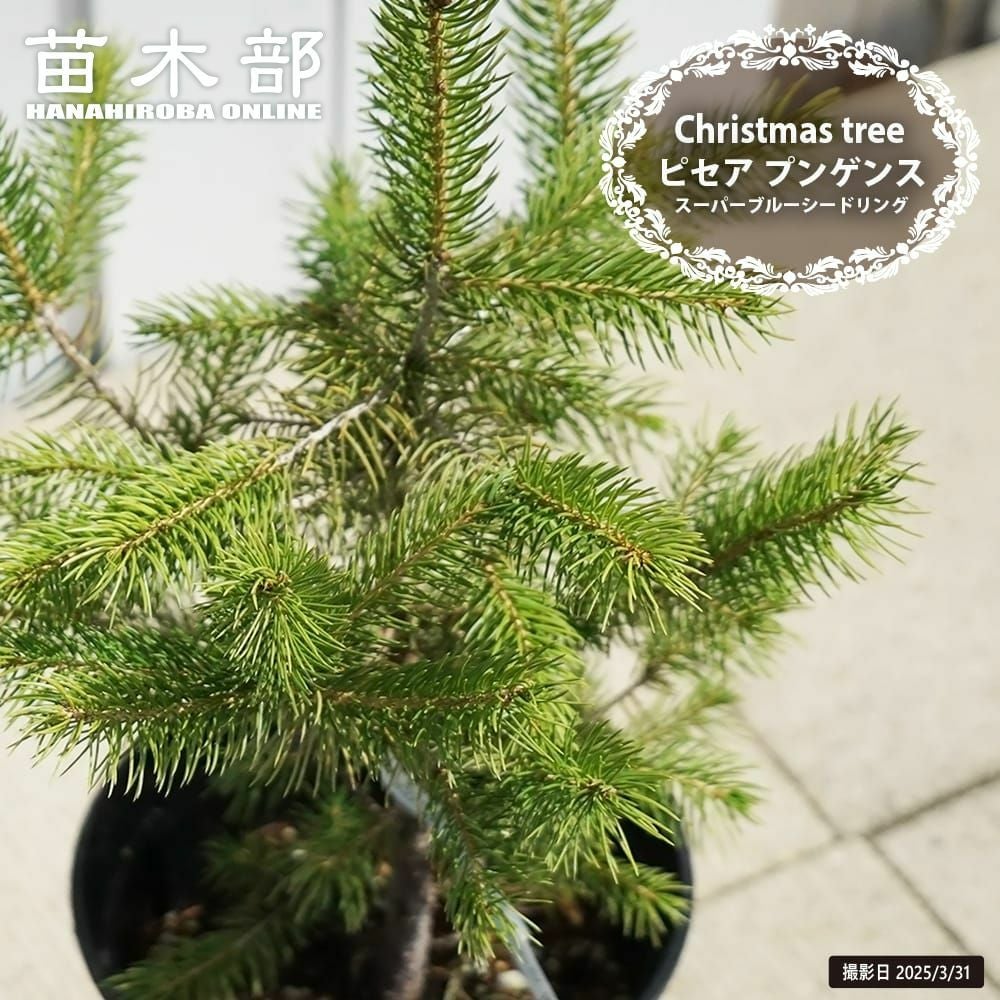 000000105556-01.jpg?size=l&w=