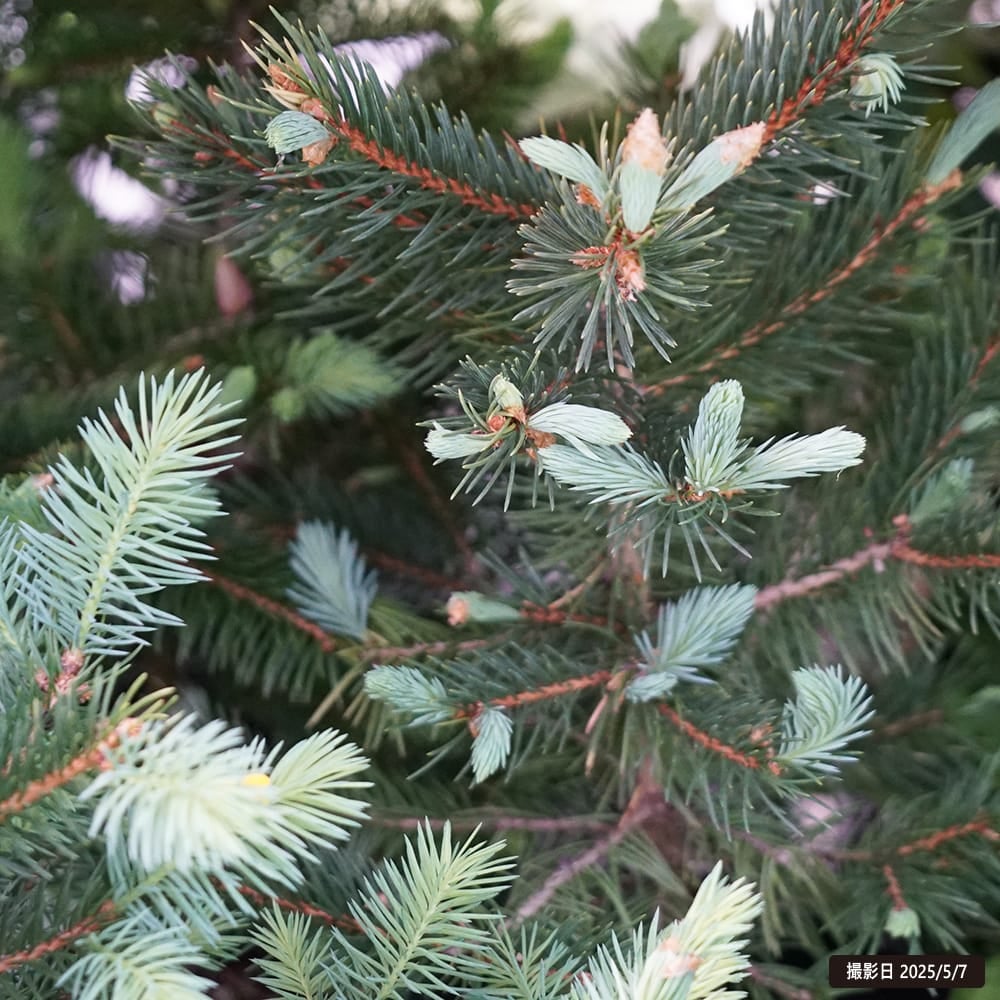 000000105556-03.jpg?size=l&w=