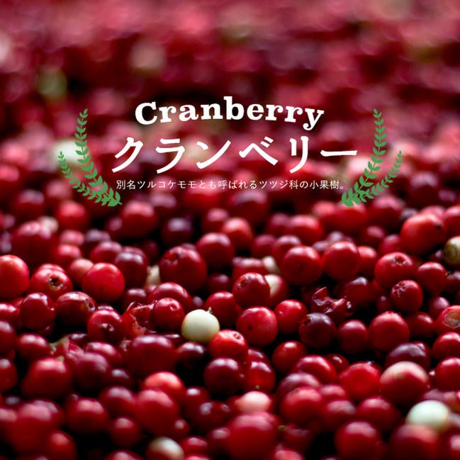 000000105557-01.jpg?size=l&w=