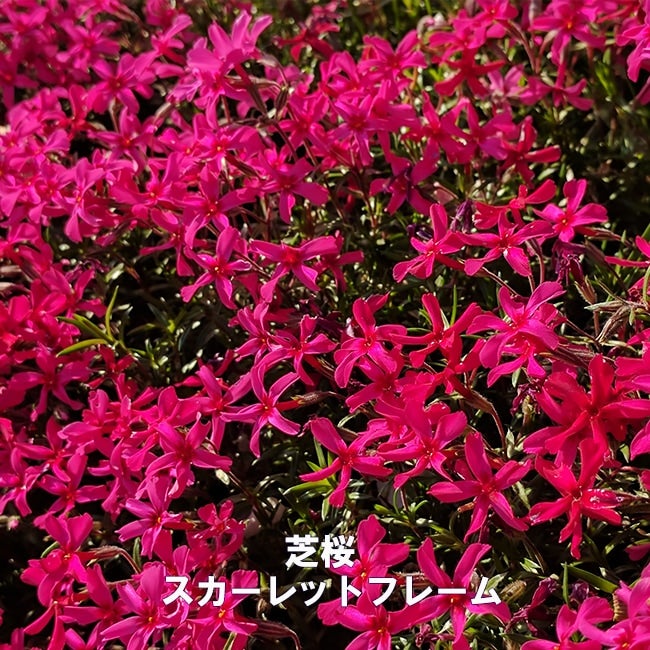 000000006922-11.jpg?size=l&w=