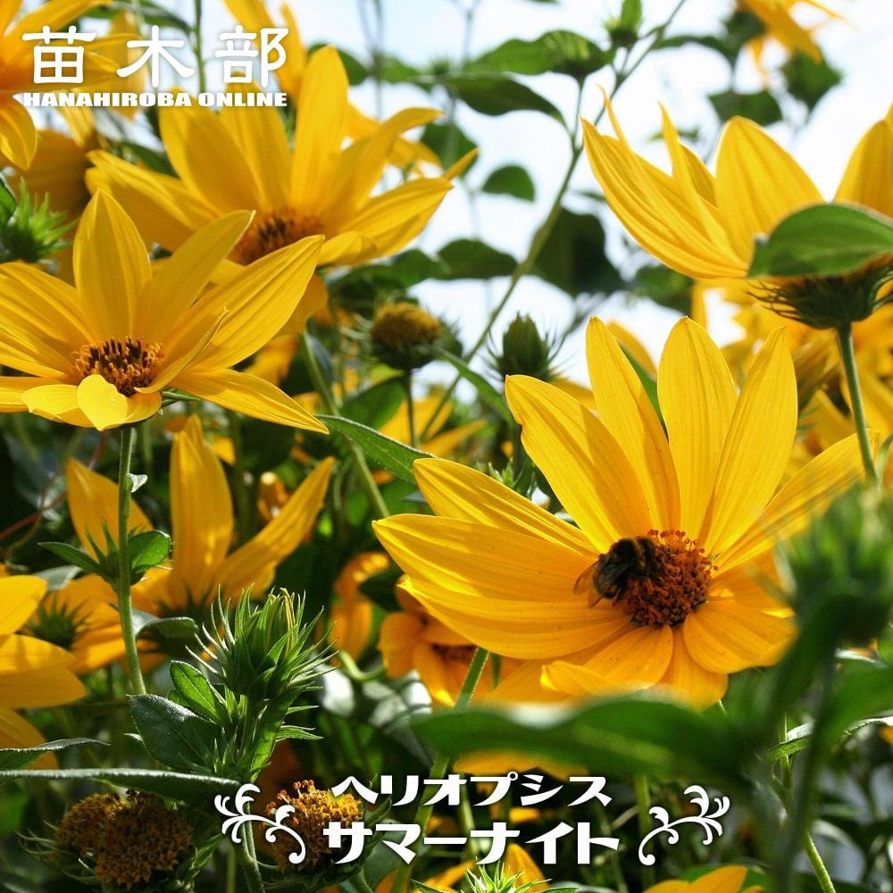 000000007324-01.jpg?size=m&w=