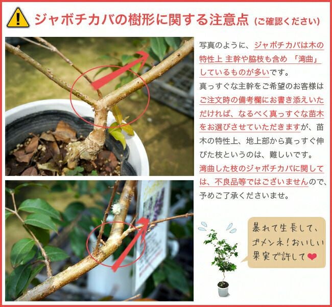 000000007464-10.jpg?size=l&w=