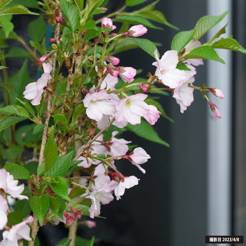 000000007580-04.jpg?size=l&w=