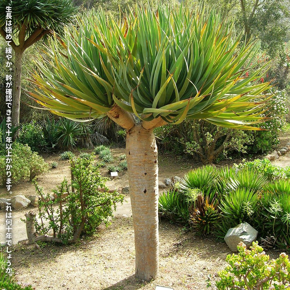 000000108001-02.jpg?size=l&w=