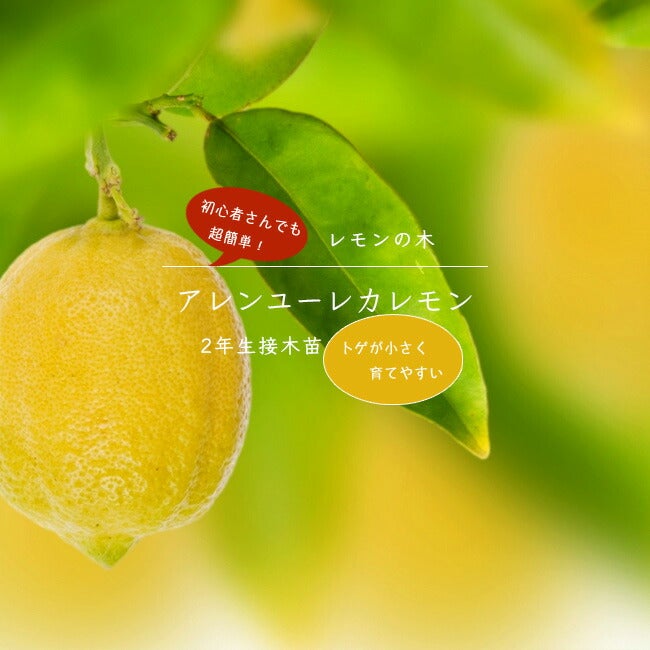 000000008112-05.jpg?size=l&w=