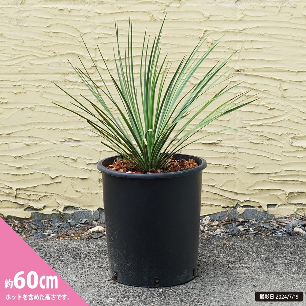 000000108110-04.jpg?size=l&w=