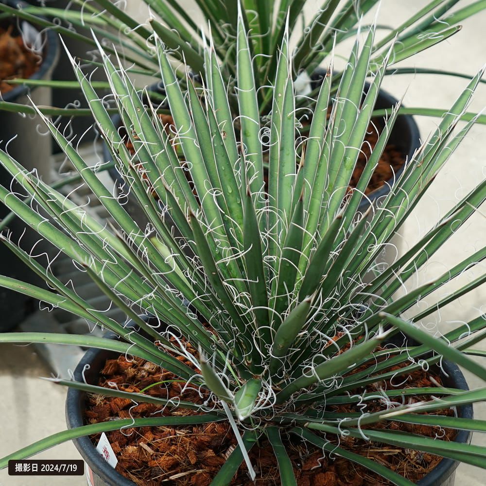 000000108111-02.jpg?size=l&w=