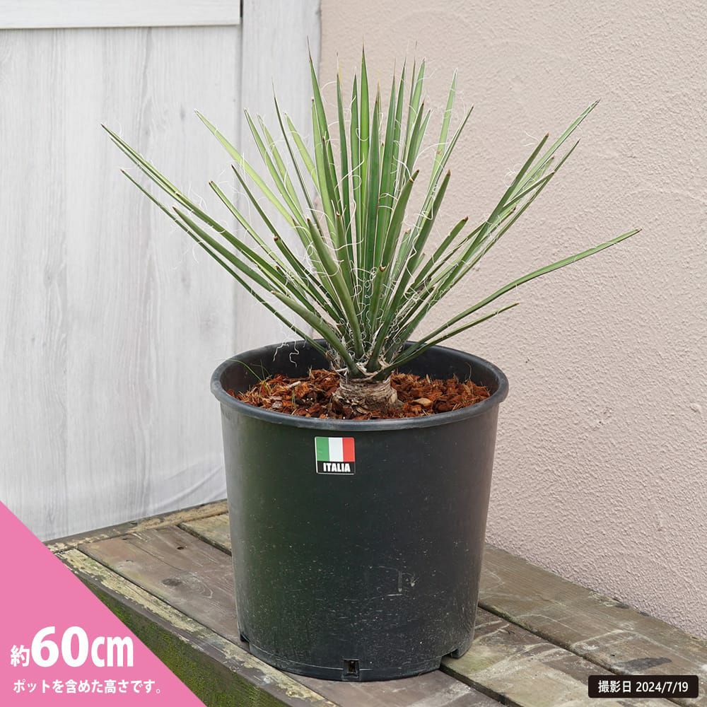 000000108111-03.jpg?size=l&w=