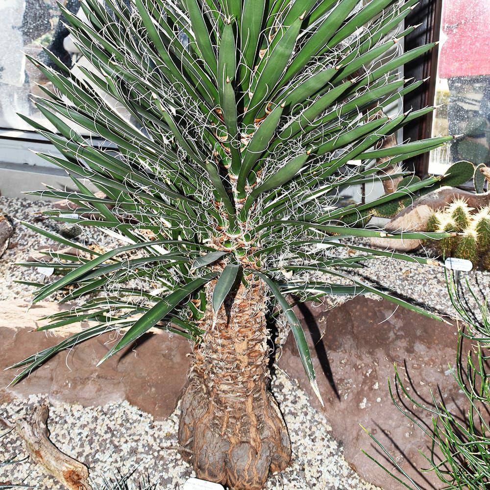 000000108111-06.jpg?size=l&w=