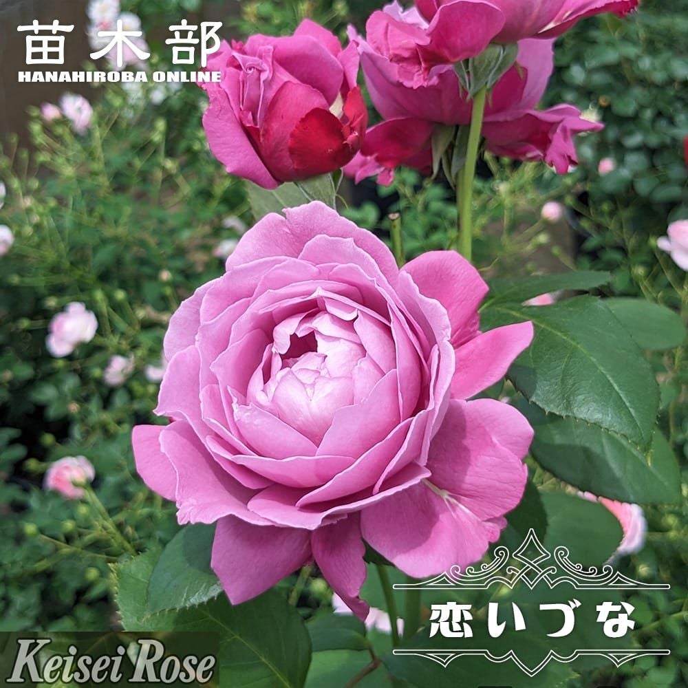 000000108313-01.jpg?size=l&w=