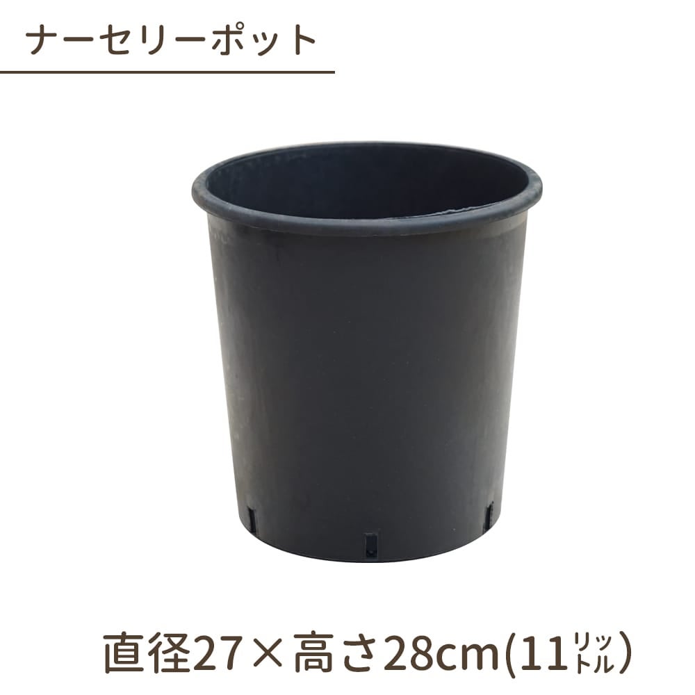 000000108551-01.jpg?size=l&w=