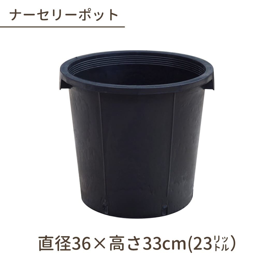 000000108553-01.jpg?size=m&w=