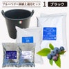 ブルーベリー鉢植えセット1.ブラック 