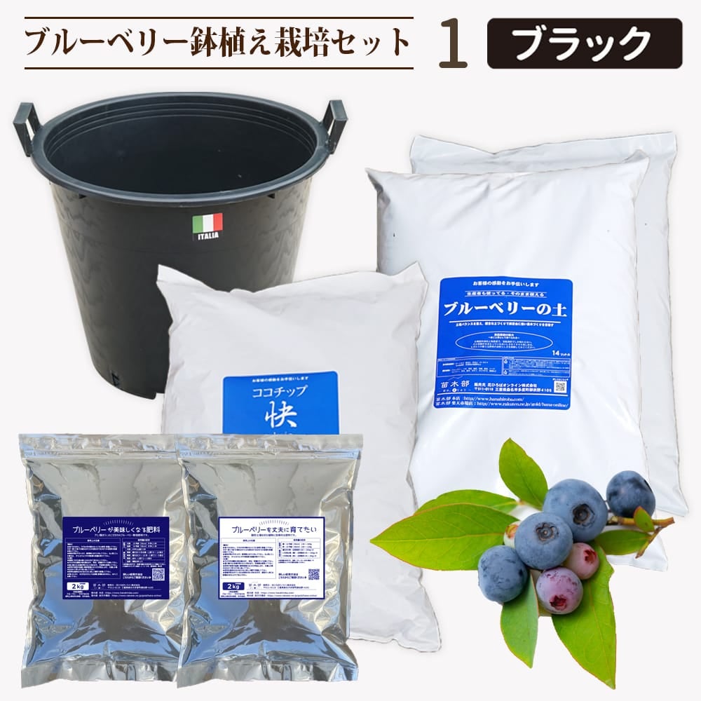ブルーベリー鉢植えセット1.ブラック 