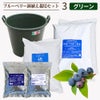 ブルーベリー鉢植えセット3.グリーン 