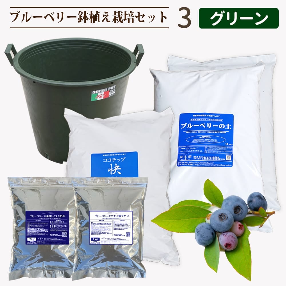 ブルーベリー鉢植えセット3.グリーン 