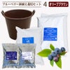 ブルーベリー鉢植えセット4オリーブブラウン