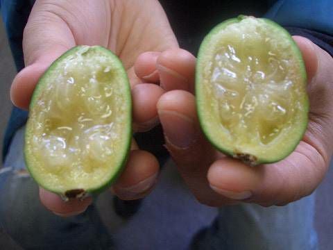 000000008685-07.jpg?size=l&w=