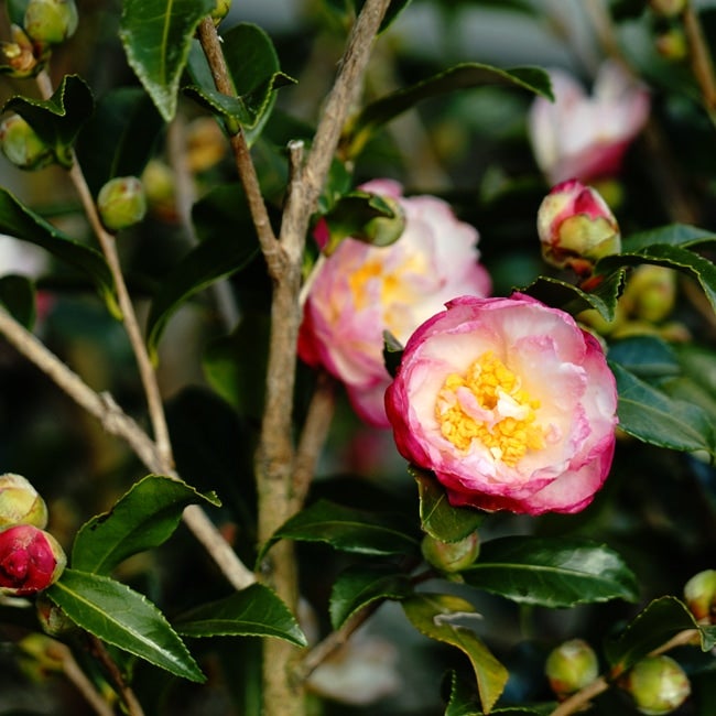 000000008759-07.jpg?size=l&w=