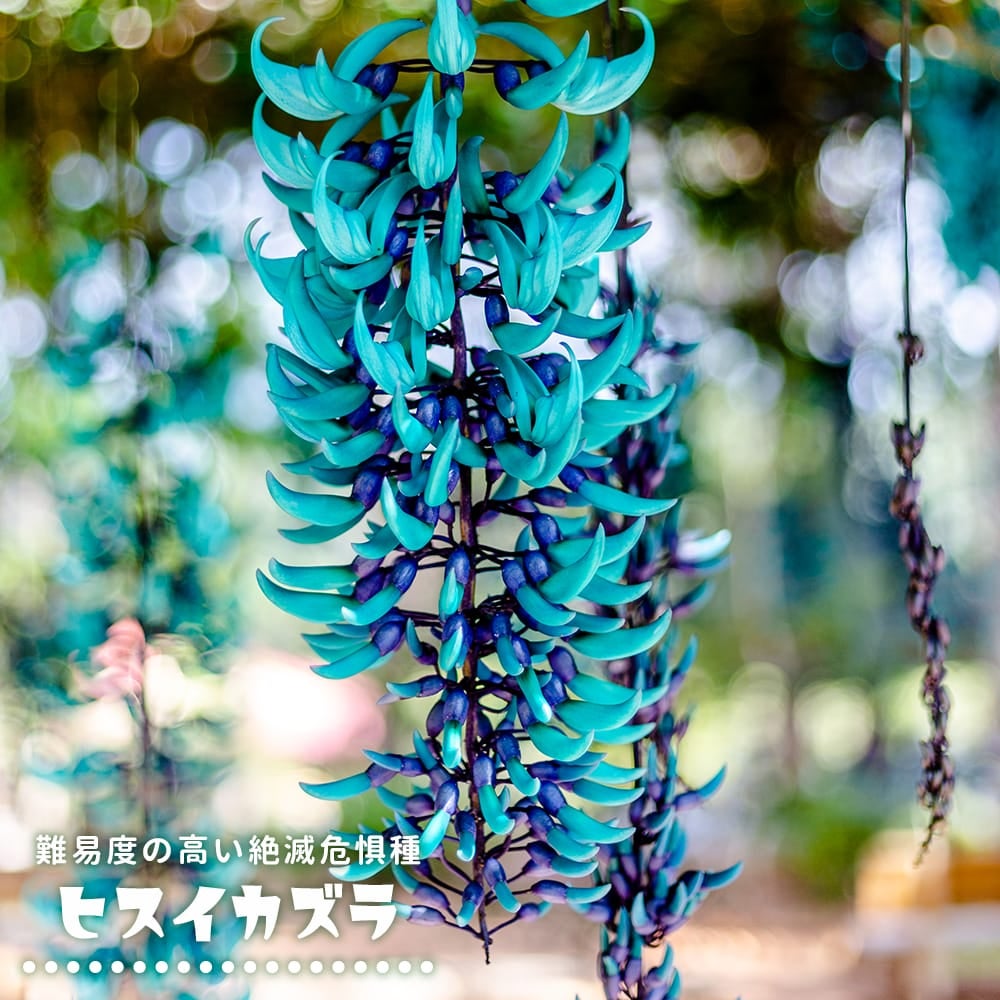 000000108720-01.jpg?size=l&w=