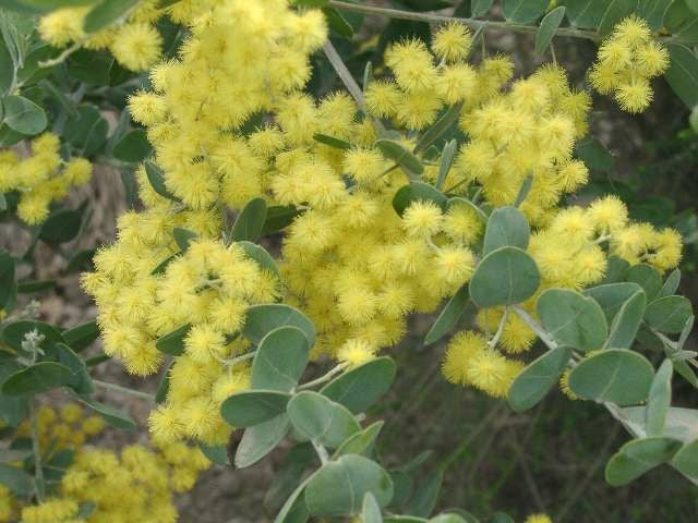 000000009037-05.jpg?size=l&w=