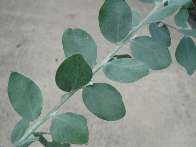 000000009037-06.jpg?size=l&w=