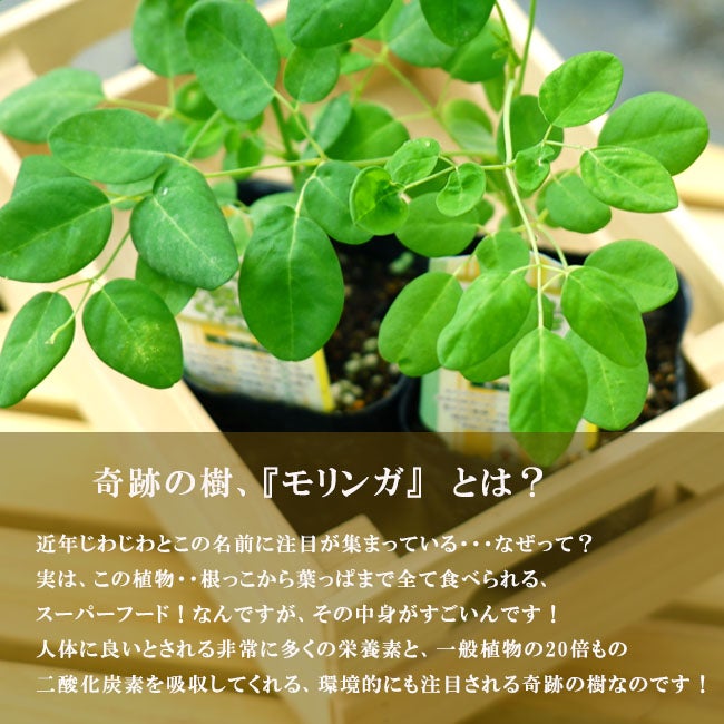 000000109831-04.jpg?size=l&w=